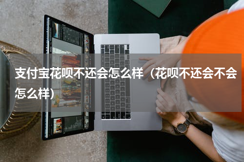 支付宝花呗不还会怎么样(花呗不还会不会怎么样)