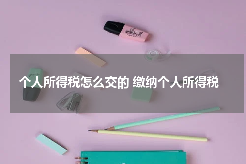 个人所得税怎么交的 缴纳个人所得税