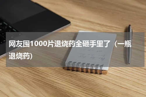 网友囤1000片退烧药全砸手里了（一瓶退烧药）