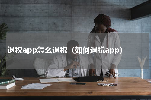 退税app怎么退税(如何退税app)