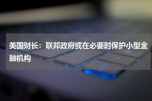 美国财长：联邦政府或在必要时保护小型金融机构