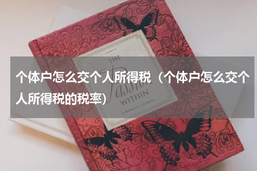 个体户怎么交个人所得税（个体户怎么交个人所得税的税率）