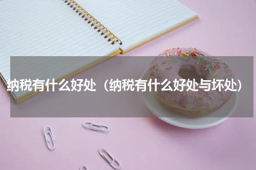 纳税有什么好处（纳税有什么好处与坏处）