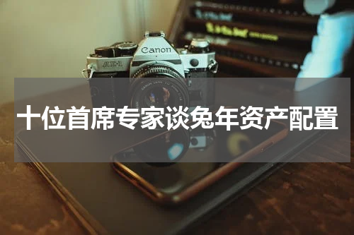 十位首席专家谈兔年资产配置