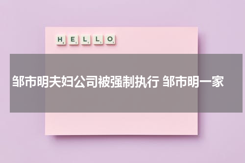 邹市明夫妇公司被强制执行 邹市明一家