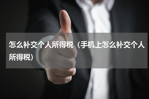 怎么补交个人所得税（手机上怎么补交个人所得税）