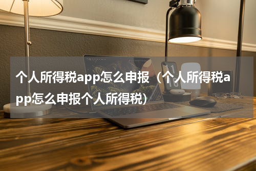 个人所得税app怎么申报（个人所得税app怎么申报个人所得税）