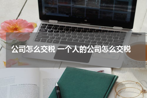 公司怎么交税 一个人的公司怎么交税