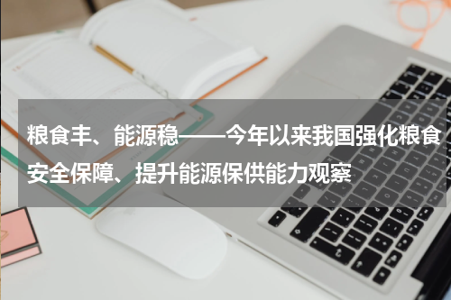 粮食丰、能源稳——今年以来我国强化粮食安全保障、提升能源保供能力观察