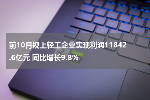 前10月规上轻工企业实现利润11842.6亿元 同比增长9.8%