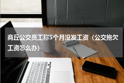 商丘公交员工称5个月没发工资（公交拖欠工资怎么办）