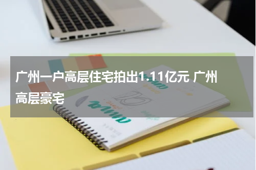 广州一户高层住宅拍出1.11亿元 广州高层豪宅