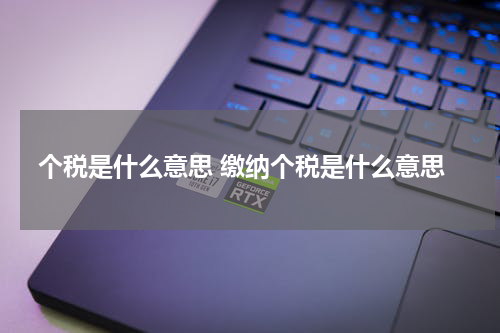 个税是什么意思 缴纳个税是什么意思