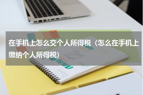 在手机上怎么交个人所得税（怎么在手机上缴纳个人所得税）