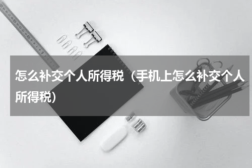 怎么补交个人所得税（手机上怎么补交个人所得税）