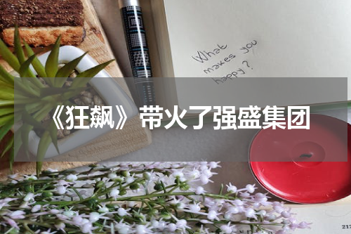 《狂飙》带火了强盛集团