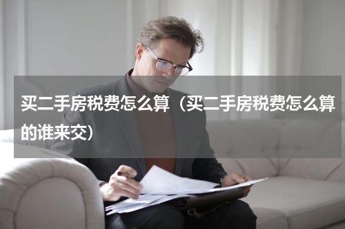 买二手房税费怎么算（买二手房税费怎么算的谁来交）
