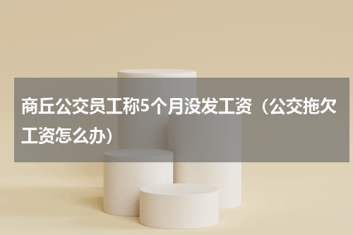 商丘公交员工称5个月没发工资（公交拖欠工资怎么办）