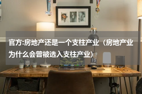 官方:房地产还是一个支柱产业（房地产业为什么会曾被选入支柱产业）