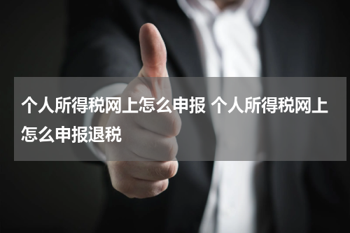 个人所得税网上怎么申报 个人所得税网上怎么申报退税