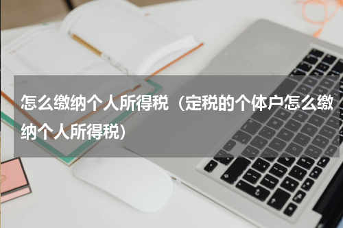 怎么缴纳个人所得税（定税的个体户怎么缴纳个人所得税）