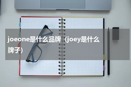 joeone是什么品牌(joey是什么牌子)