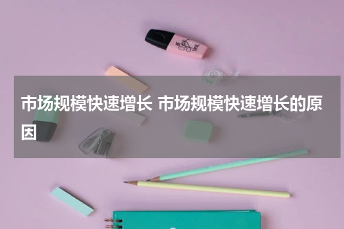 市场规模快速增长 市场规模快速增长的原因