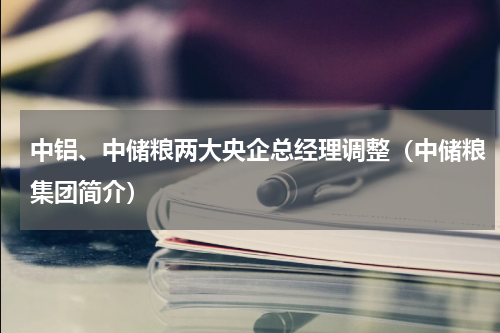 中铝、中储粮两大央企总经理调整(中储粮集团简介)