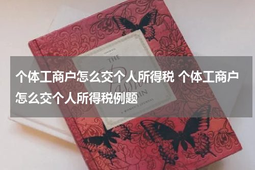 个体工商户怎么交个人所得税 个体工商户怎么交个人所得税例题