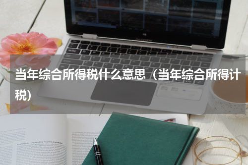 当年综合所得税什么意思（当年综合所得计税）