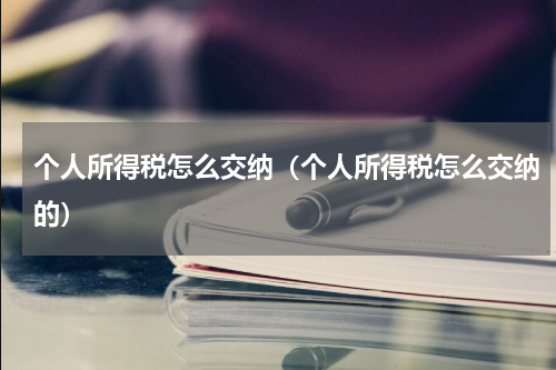 个人所得税怎么交纳（个人所得税怎么交纳的）