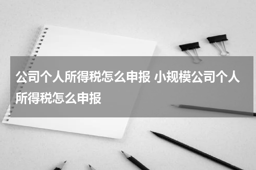 公司个人所得税怎么申报 小规模公司个人所得税怎么申报