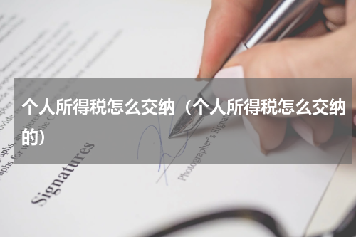 个人所得税怎么交纳（个人所得税怎么交纳的）