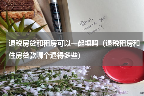 退税房贷和租房可以一起填吗（退税租房和住房贷款哪个退得多些）