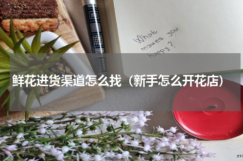 鲜花进货渠道怎么找（新手怎么开花店）
