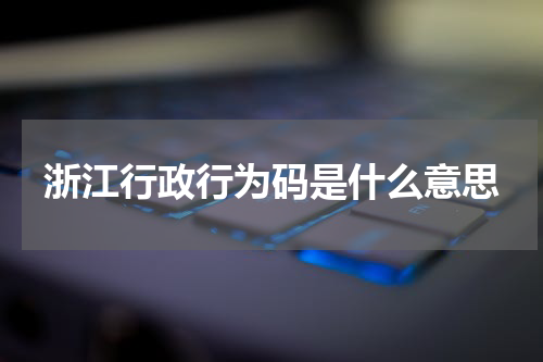 浙江行政行为码是什么意思