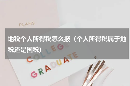 地税个人所得税怎么报（个人所得税属于地税还是国税）