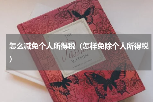 怎么减免个人所得税(怎样免除个人所得税)