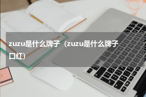 zuzu是什么牌子（zuzu是什么牌子口红）