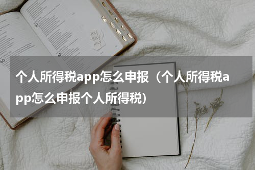 个人所得税app怎么申报（个人所得税app怎么申报个人所得税）