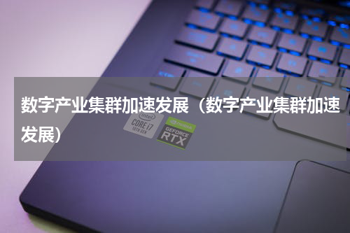 数字产业集群加速发展（数字产业集群加速发展）
