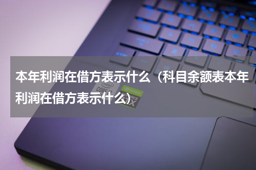 本年利润在借方表示什么（科目余额表本年利润在借方表示什么）