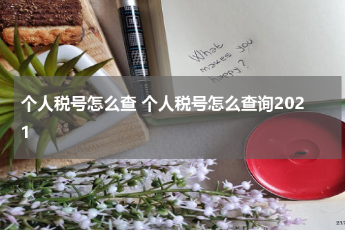个人税号怎么查 个人税号怎么查询2021