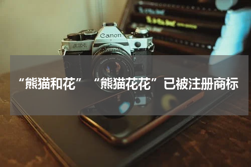 “熊猫和花”“熊猫花花”已被注册商标