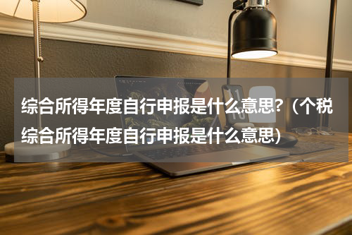 综合所得年度自行申报是什么意思?（个税综合所得年度自行申报是什么意思）
