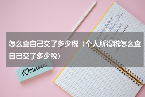 怎么查自己交了多少税（个人所得税怎么查自己交了多少税）