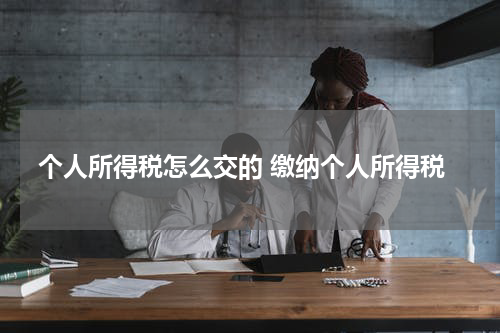 个人所得税怎么交的 缴纳个人所得税