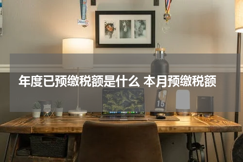 年度已预缴税额是什么 本月预缴税额