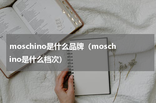 moschino是什么品牌(moschino是什么档次)