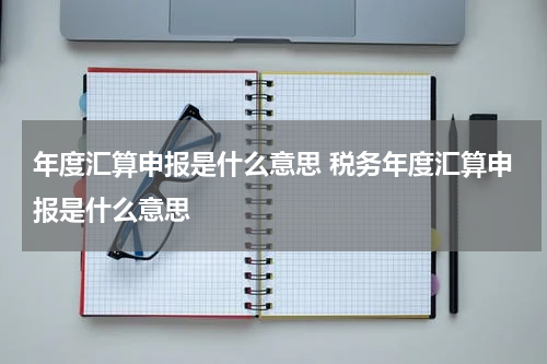 年度汇算申报是什么意思 税务年度汇算申报是什么意思